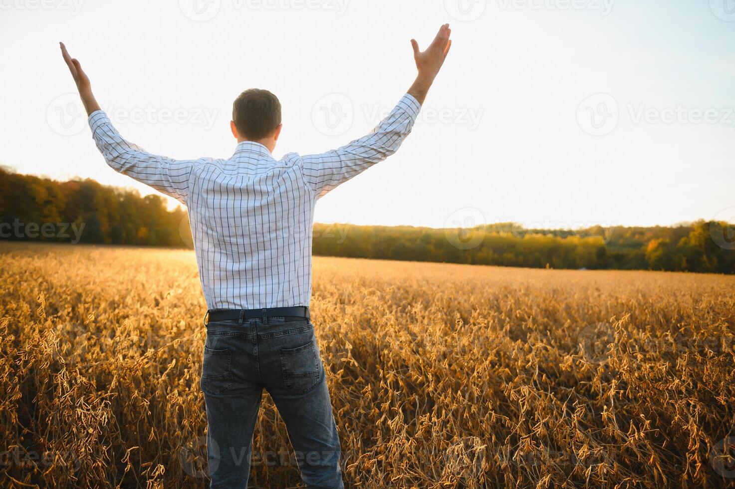 farmer agronomist in soybean field checking crops before harvest. Organic food production and cultivation. photo