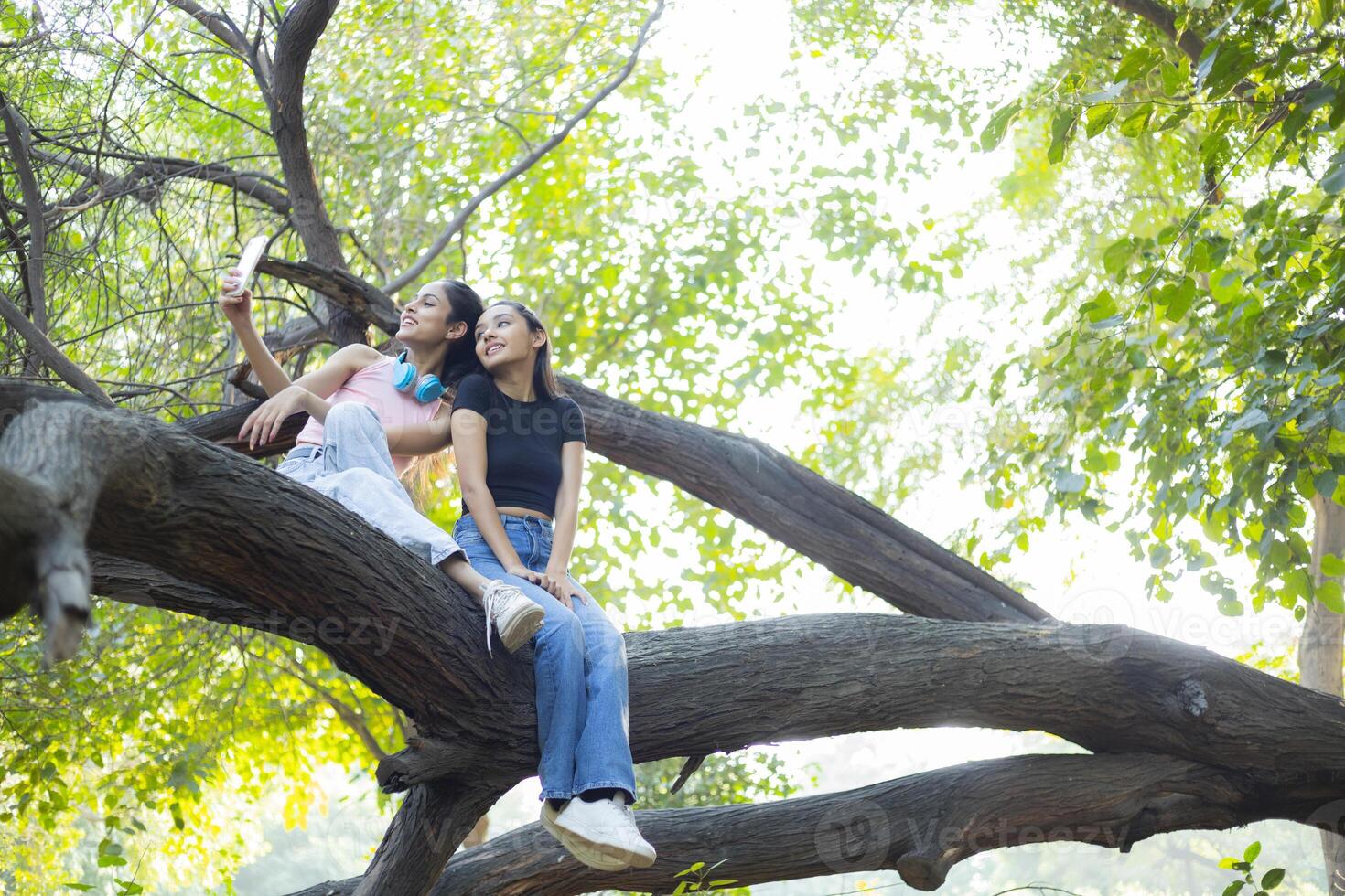 Two Female Friends Are Taking Her Selfie While Sitting On a Tree Branch photo