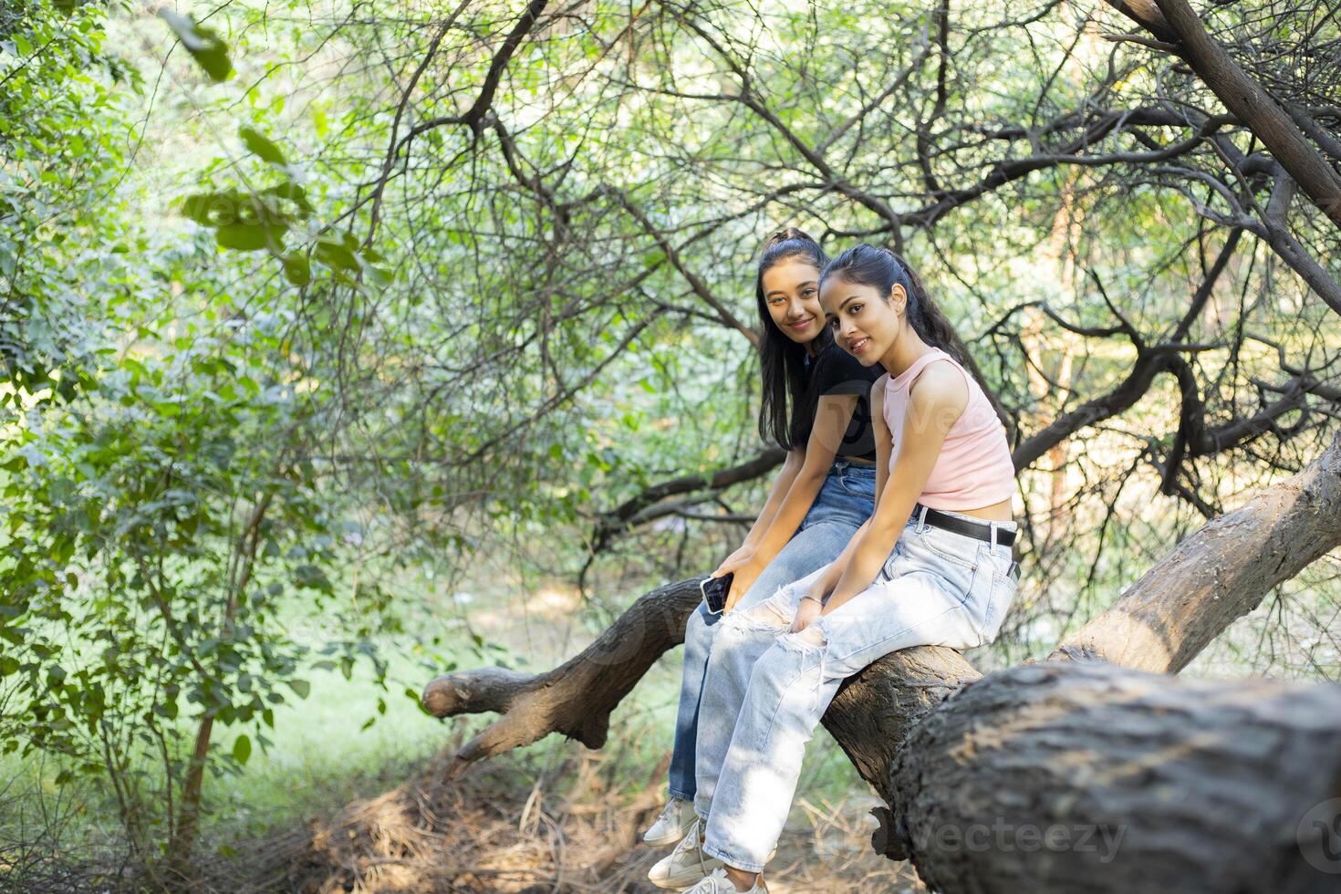 Two Gorgeous Girls Perched On Tree Branch photo