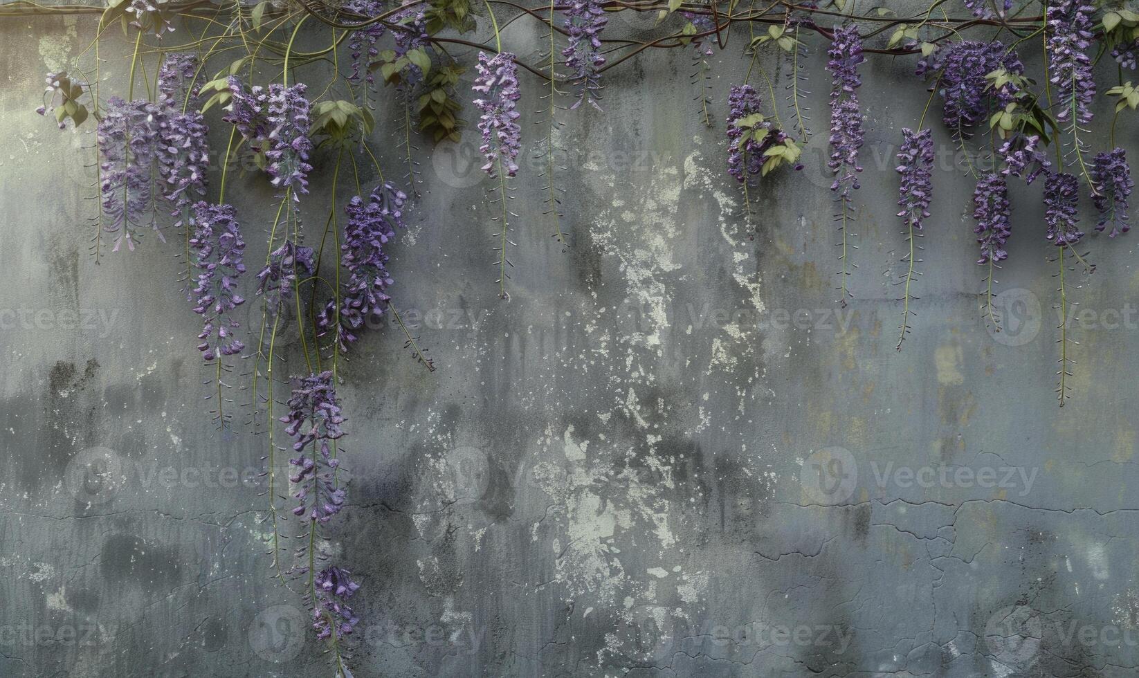 Concrete wall with wisteria, gray concrete background photo