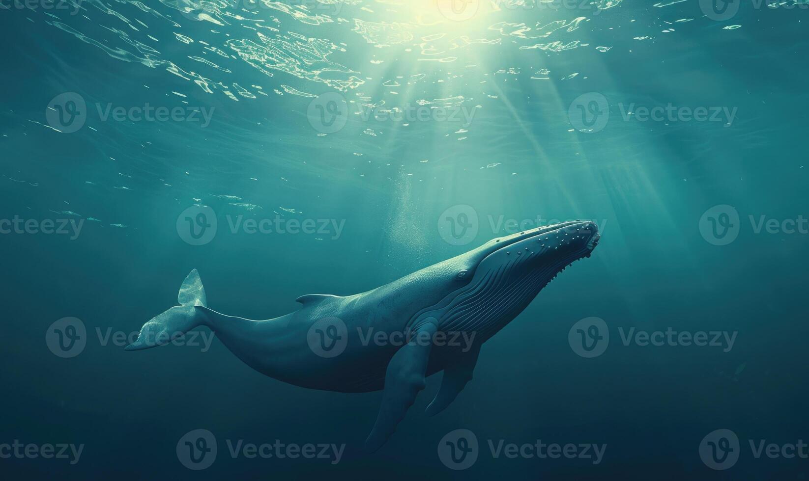 A blue whale gliding effortlessly through the ocean depths photo