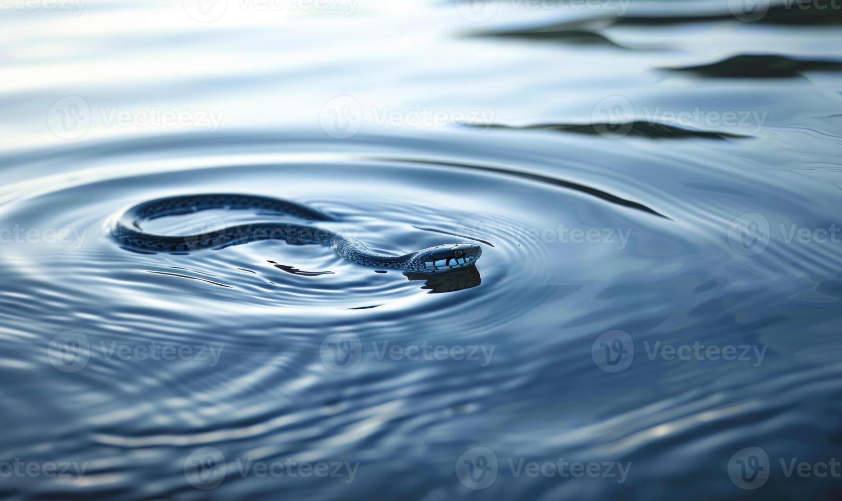 Snake on water surface photo