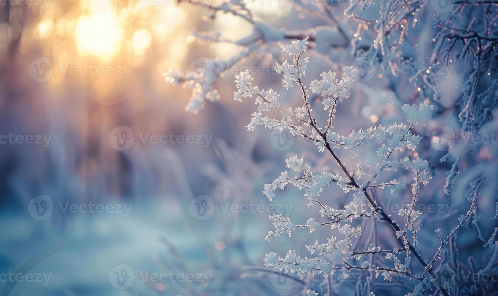 Frosty forest background with icy branches photo