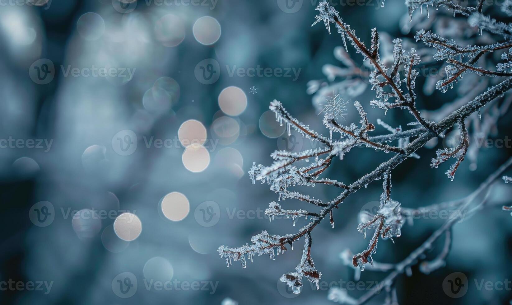 Frosty forest background with icy branches photo