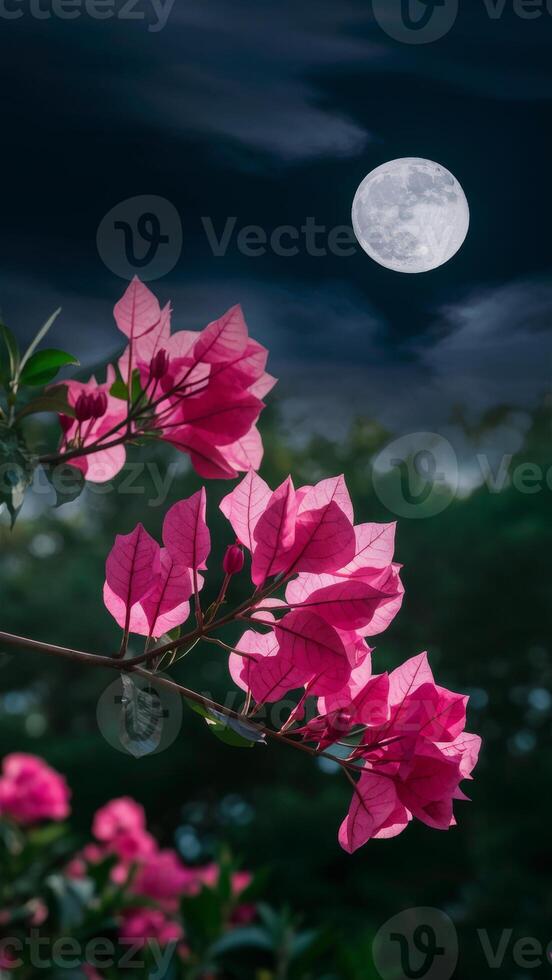 Vibrant pink bougainvillea flowers illuminated against a dark night sky with a full moon, creating a serene, mystical scene. photo