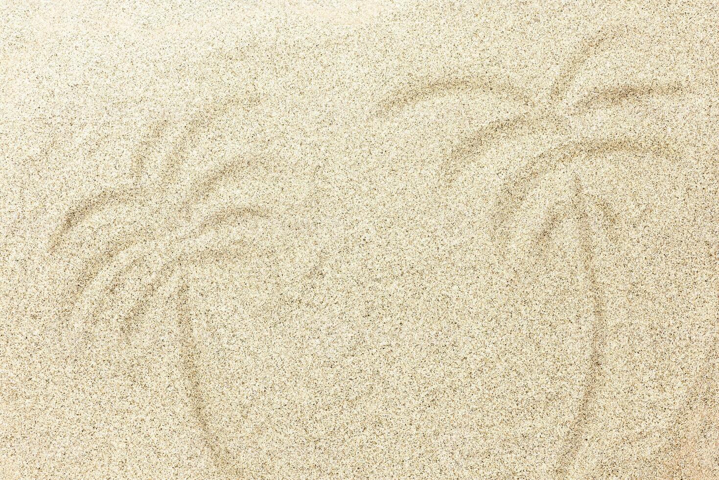 Light Sand Background with Palm Tree Drawing. Flat Lay photo