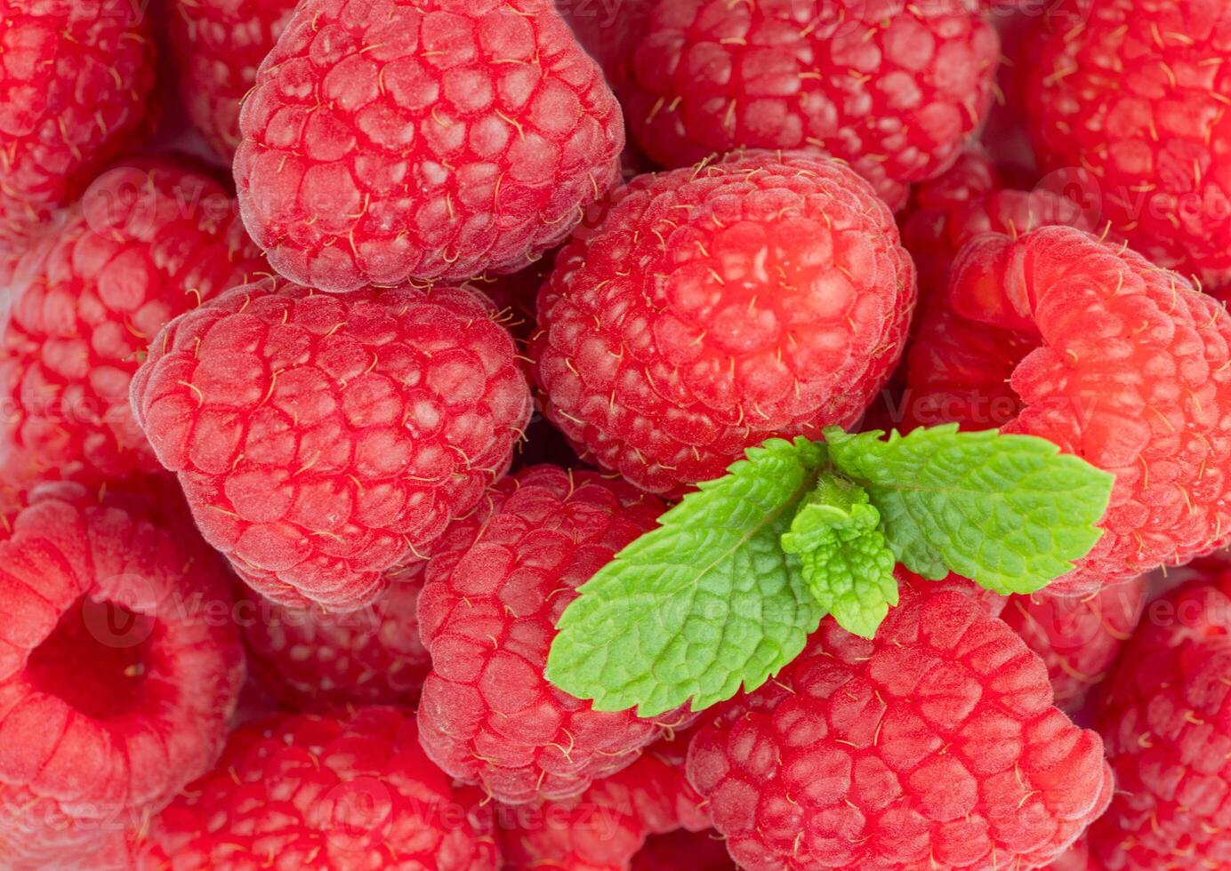 Red Raspberry Background with Mint Leaf photo