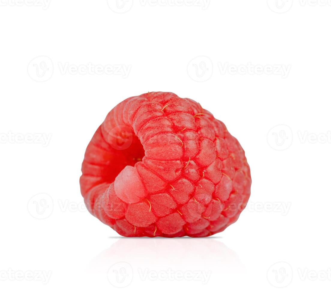 Single Raspberry Isolated on White Background photo