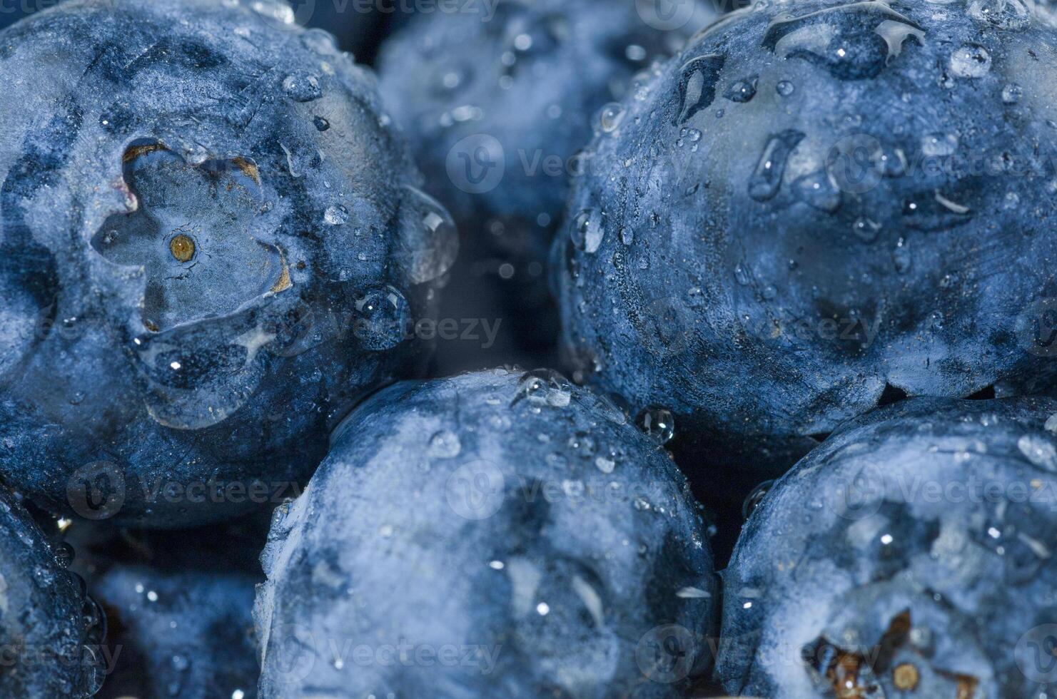 Macro shot of blueberries with water droplets. Berry background photo