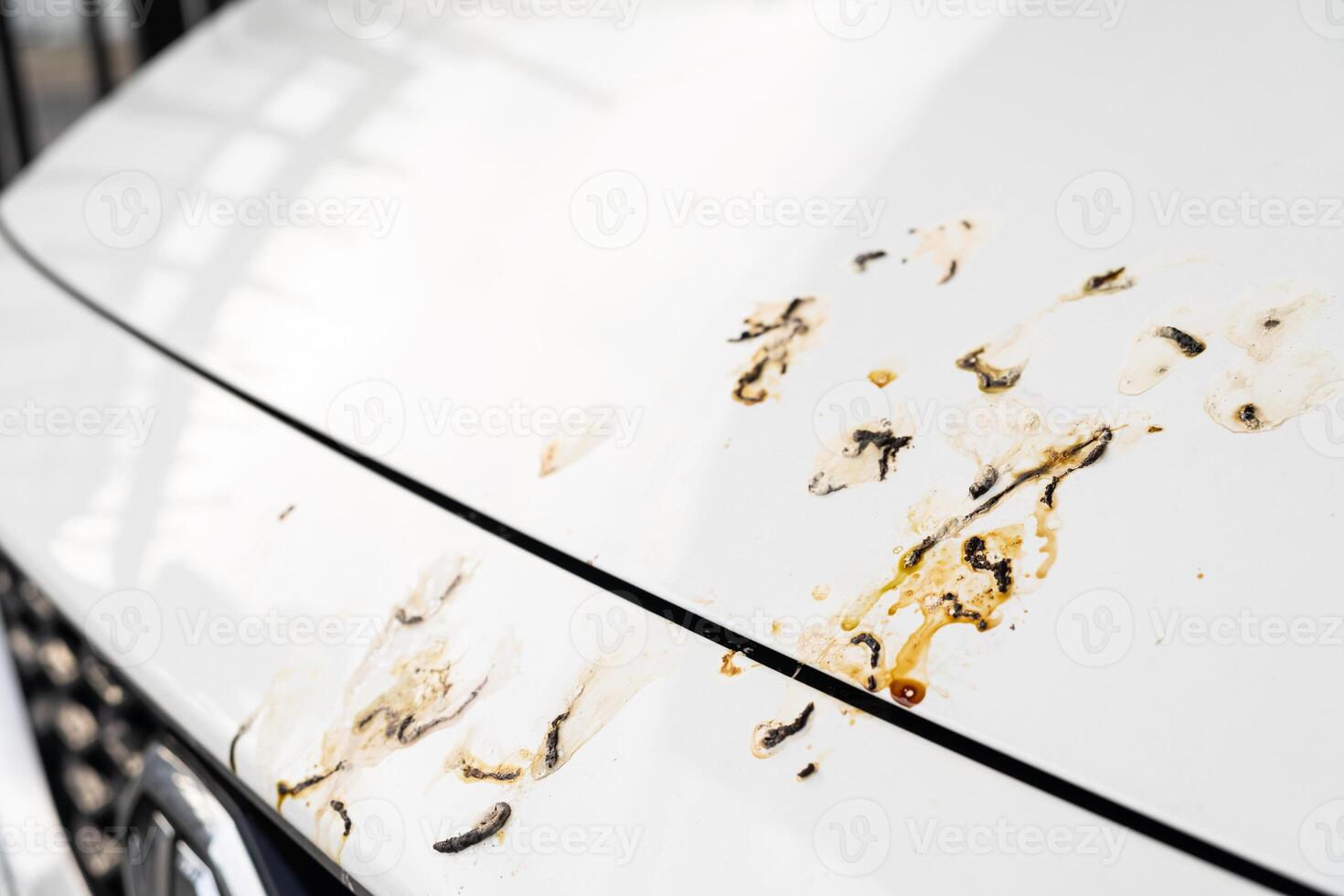 Bird poop on car and dirty. bird shit, drop of bird stain on white car surface. photo