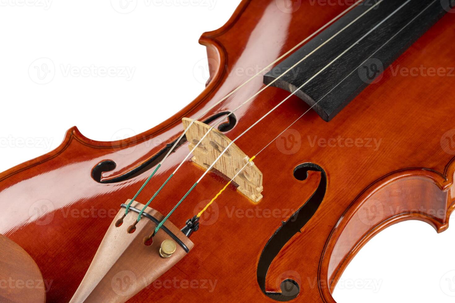 Violin body on a white background photo