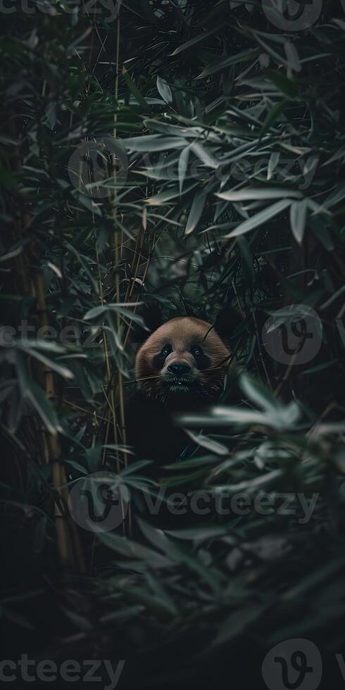 Fluffy Panda Munching photo