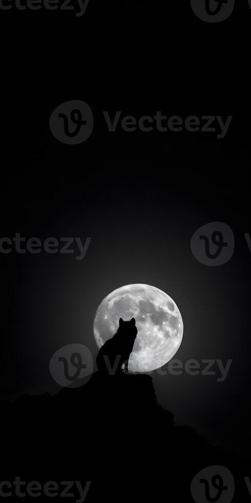 Full Moon Lone Wolf photo