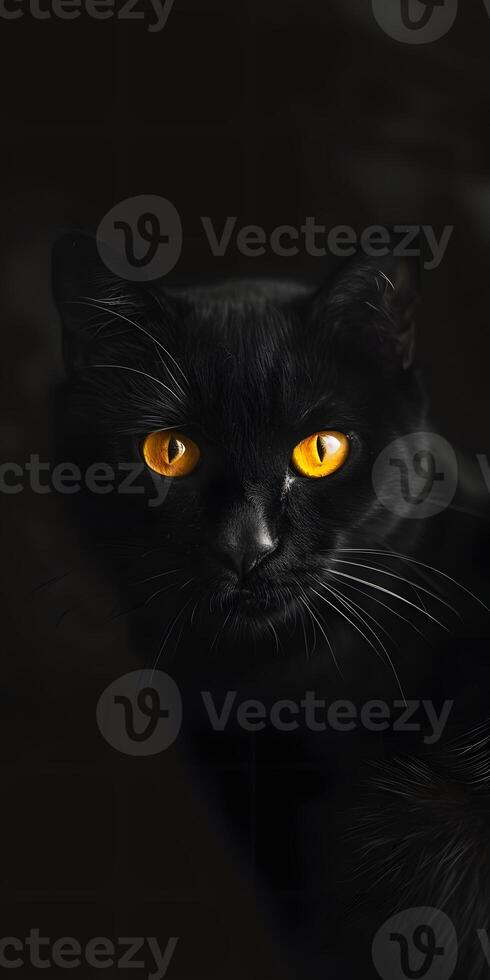 Regal Black Panther Staring photo