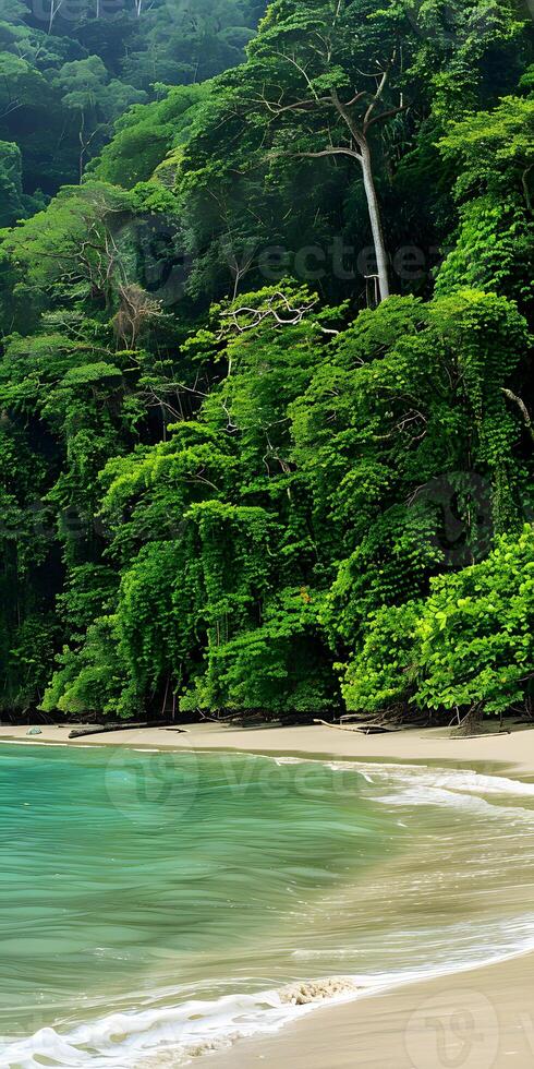 Tranquil Coastal Oasis photo
