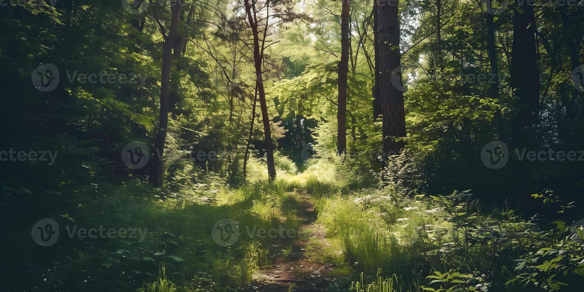 Serenity in Nature photo