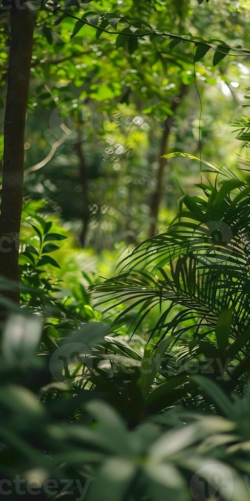 Tranquil Verdant Woodland photo