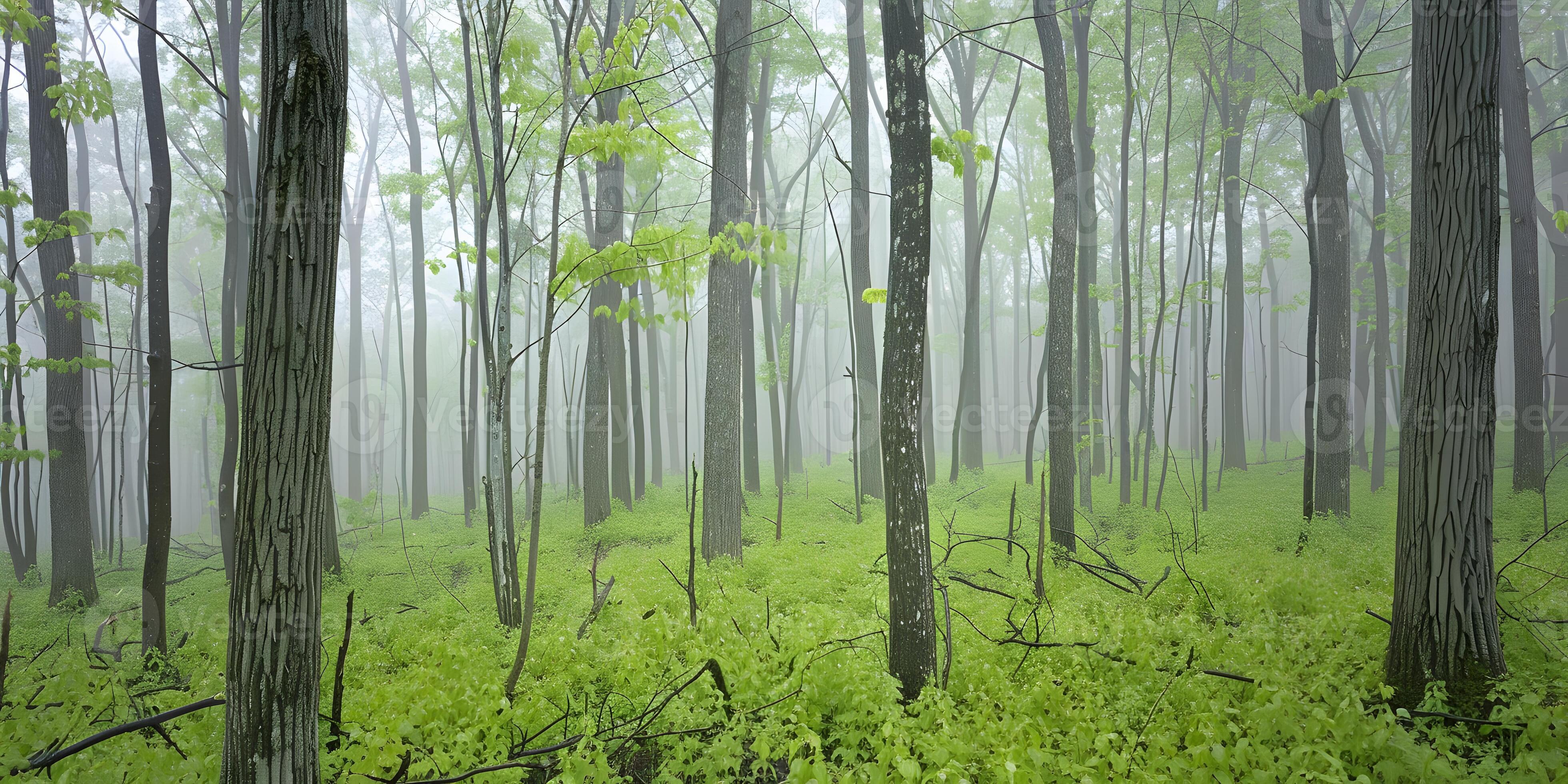 Experience The Serenity Of Misty Wet Moments - 8cnpnnd