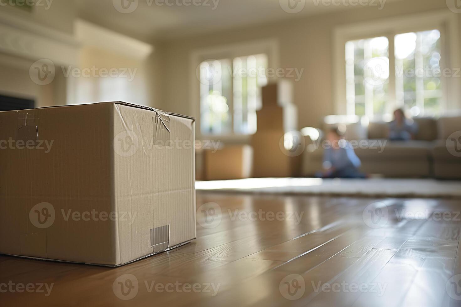 A cardboard box is seen resting on the floor in a living room, possibly indicating a recent move or ongoing relocation process in the premises rental photo