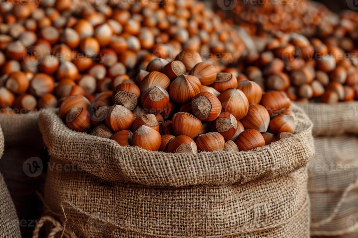 A sack full of nuts, heaps of hazelnuts photo