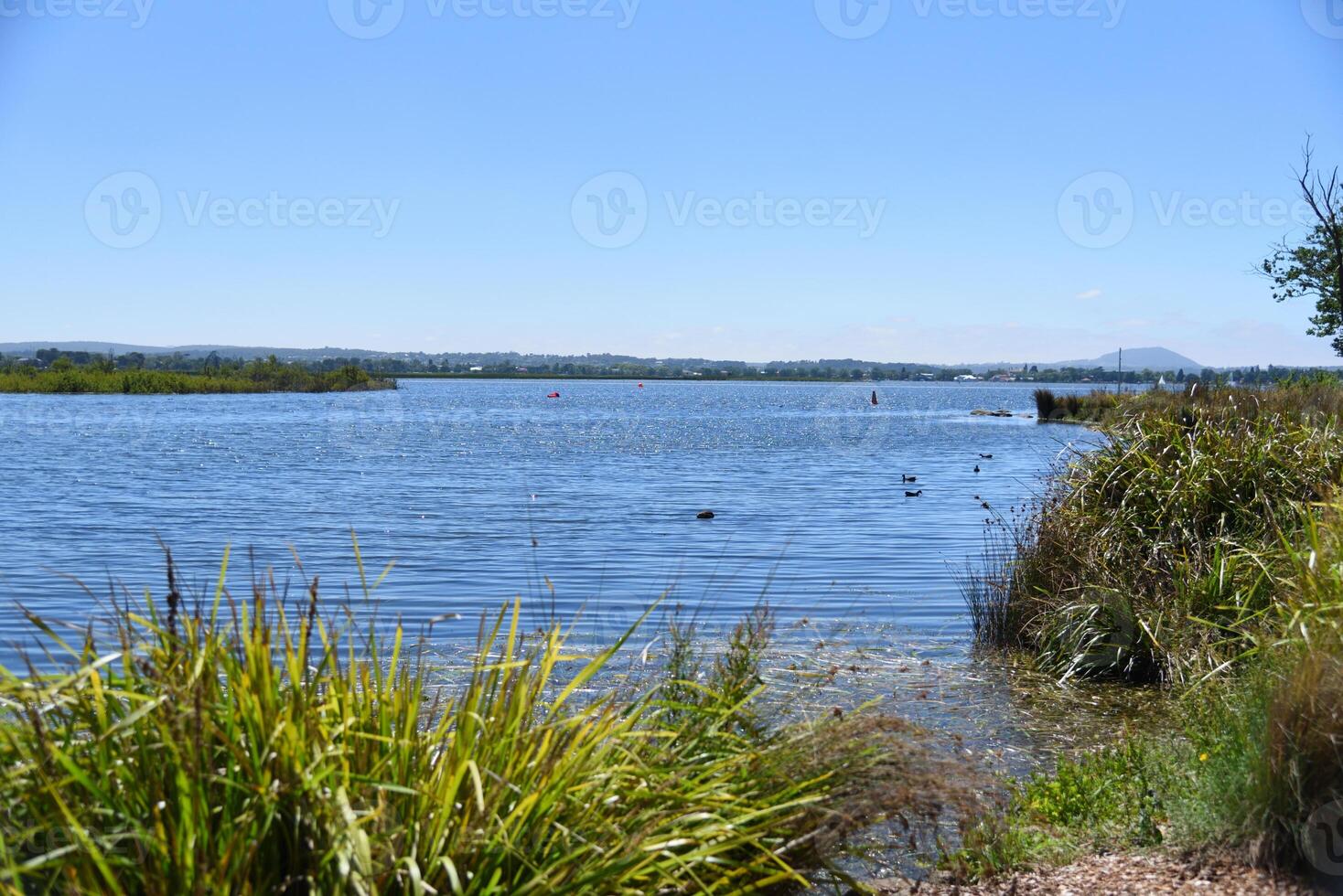 The river bank of Lake Wendouree, the man-made recreational lake Located in central Ballarat is Victoria's third largest city, Australia. photo