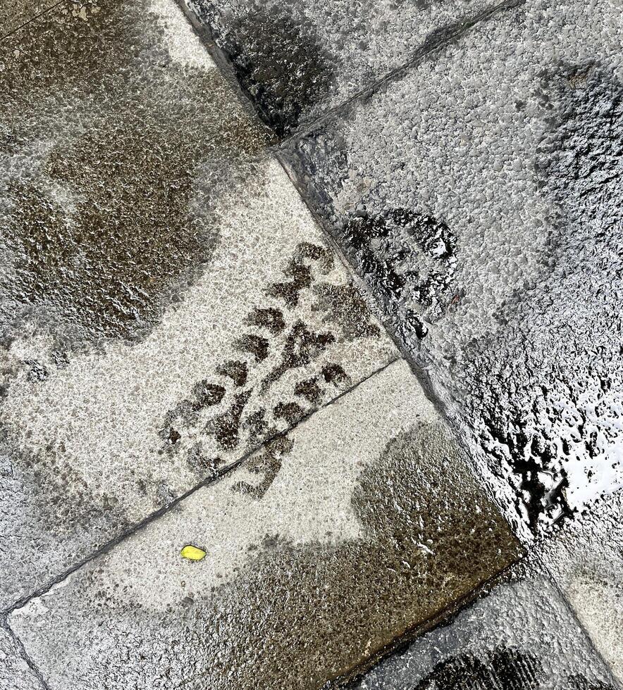 One single foot shoe print from wet rain water stains isolated on stone pedestrian side walk background. photo