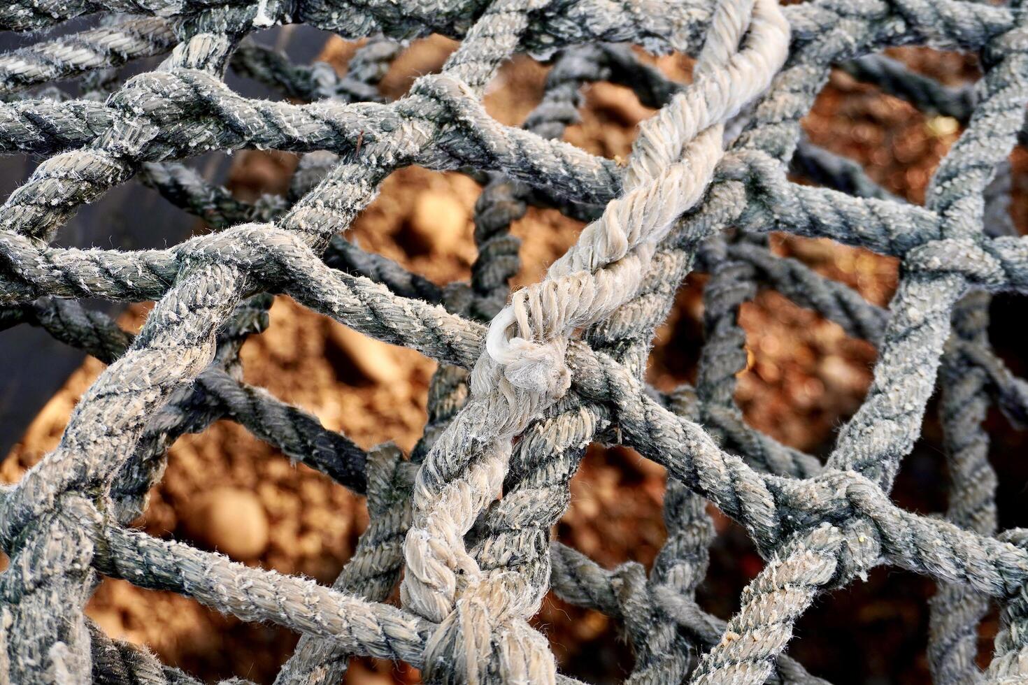 Close up thick rope with net pattern isolated on outdoor park playground horizontal ratio dry brown fallen leaves background. photo