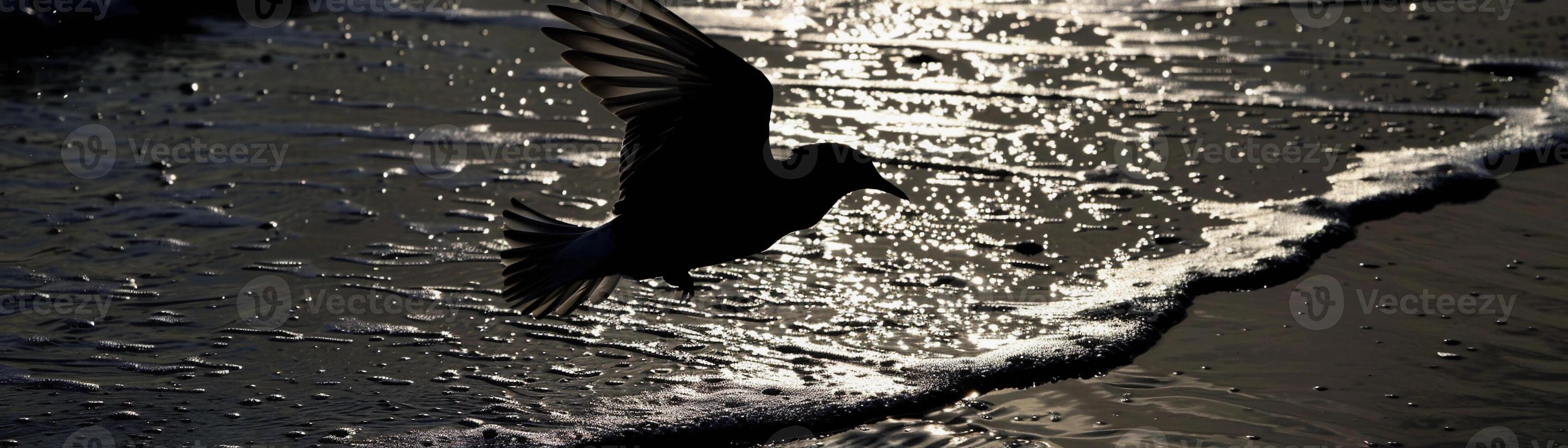 Shadow of a bird in flight cast on the ground or water, with the wings spread wide photo