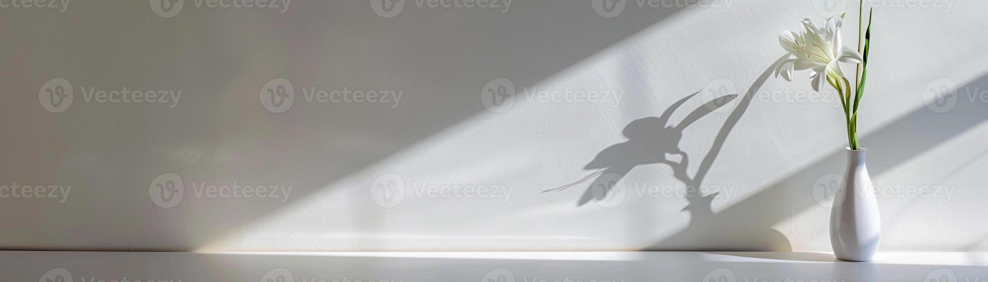 Shadow of a single flower in a vase with the light source creating an elongated shadow on a plain white wall photo