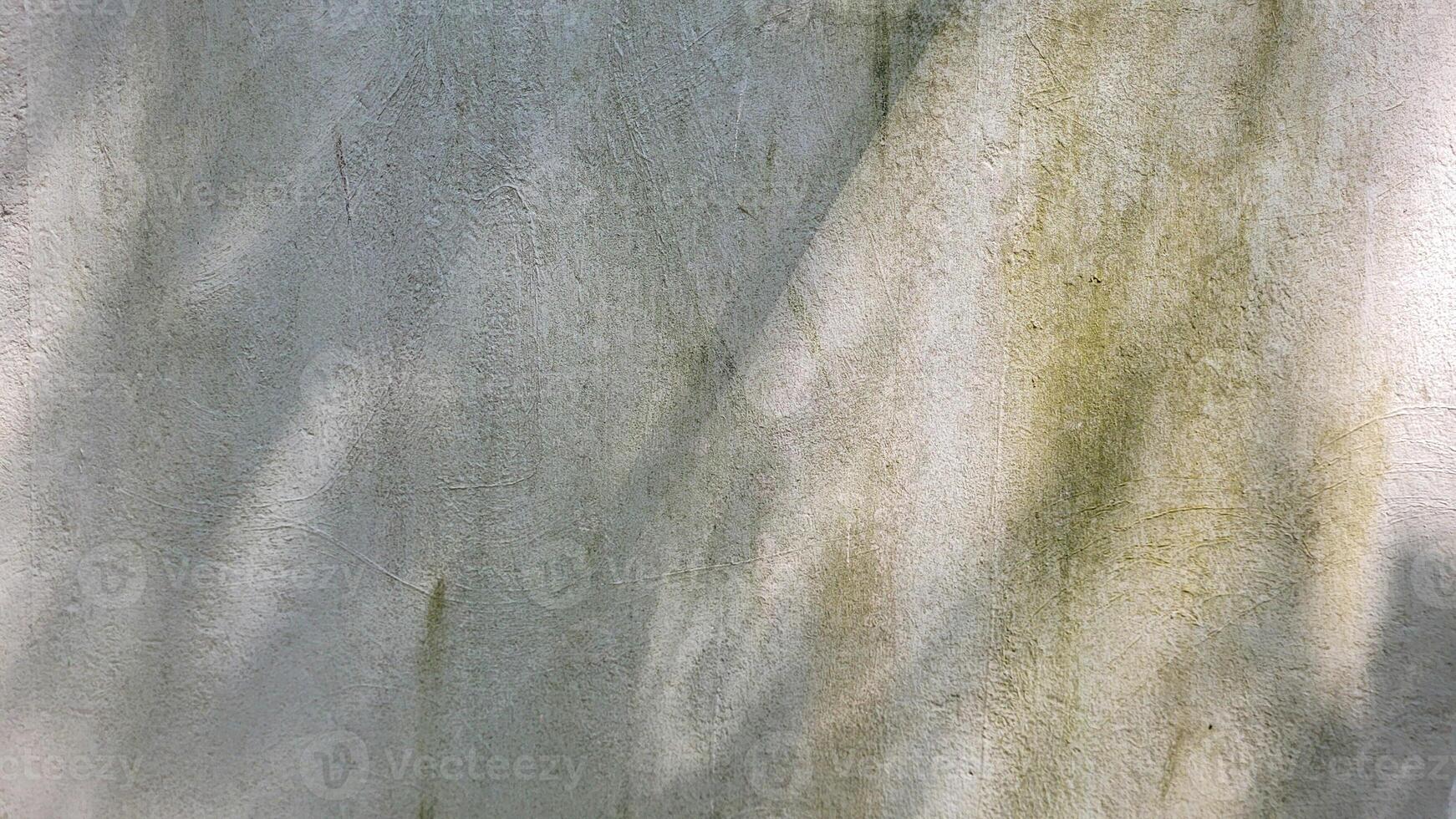 light texture with shading of leaves photo
