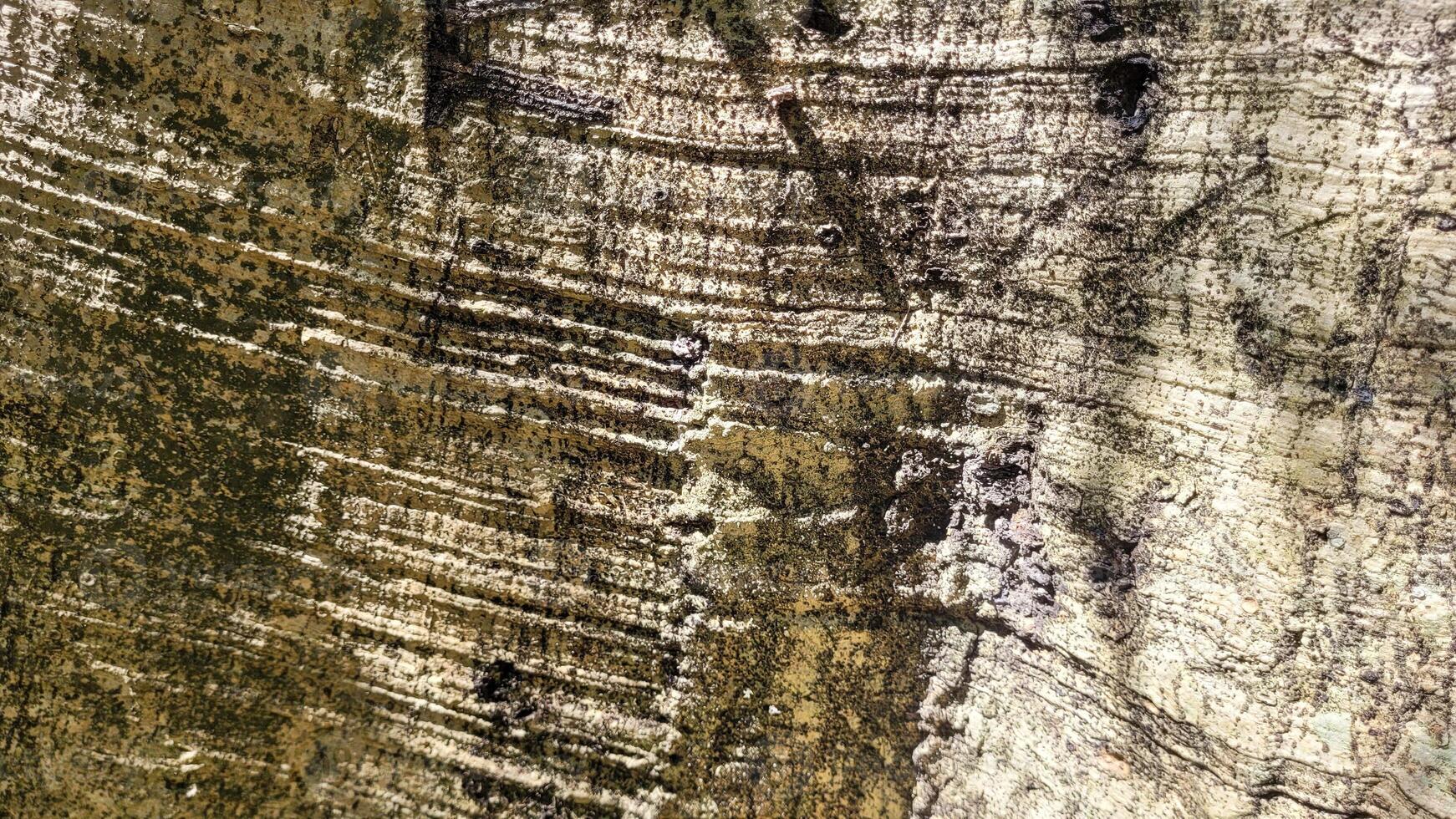black, rustic texture background with details photo