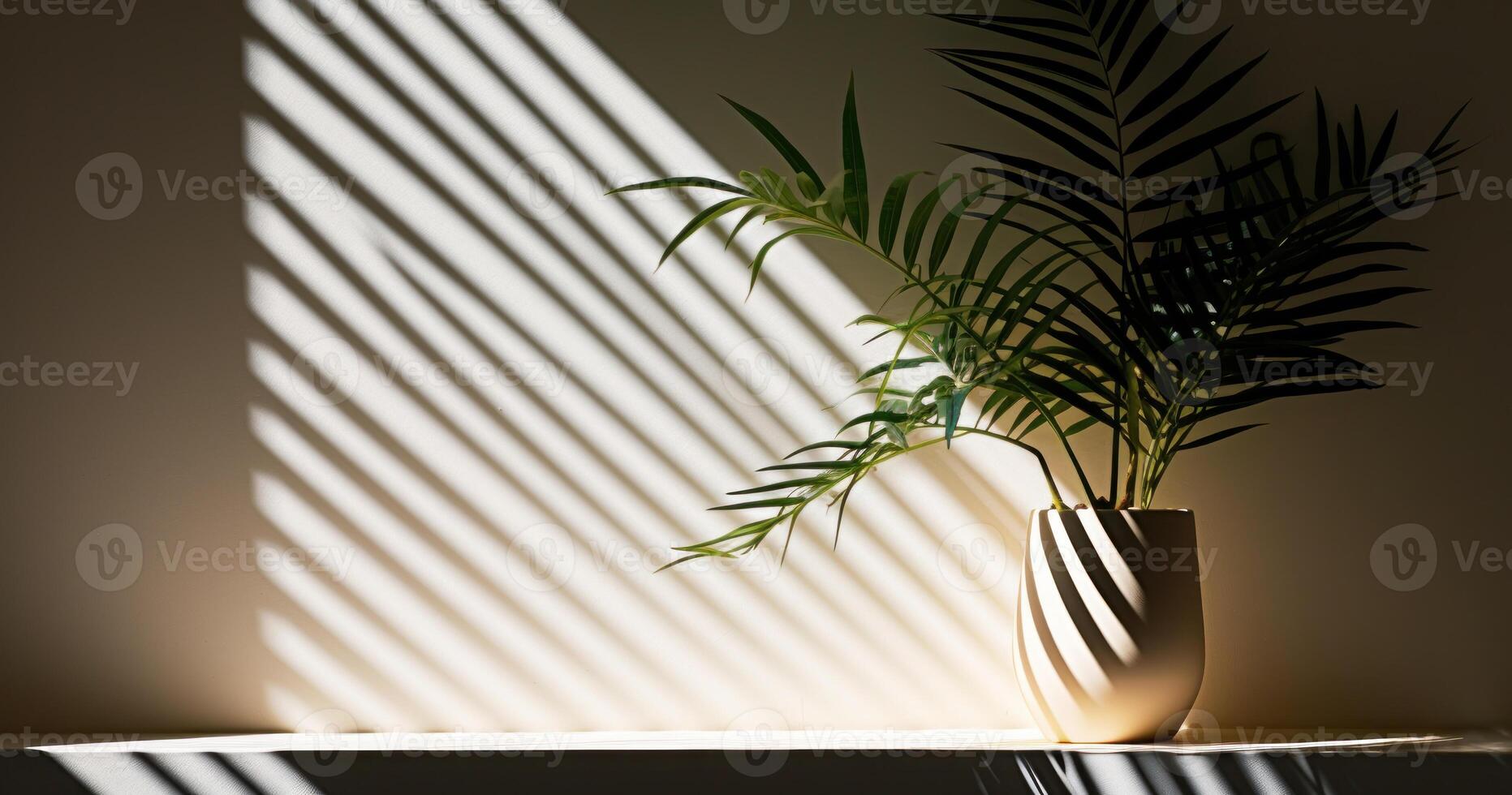 Indoor Potted Tropical Palm Creating Natural Patterns On Wall. Plant Silhouette Against Striped Shadows. photo