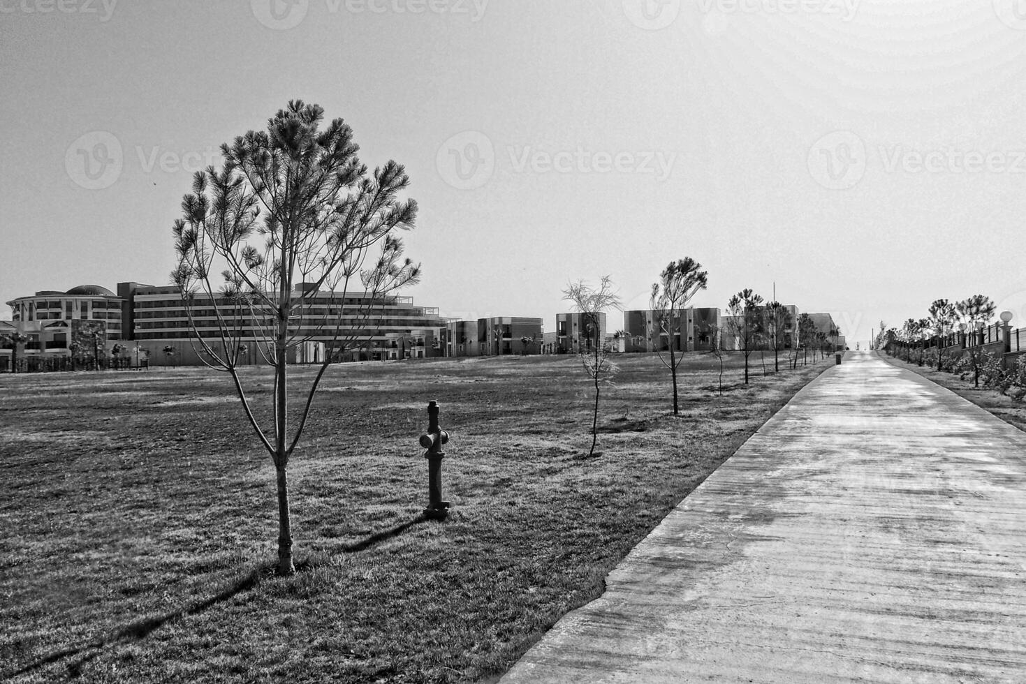 summer landscape with an empty road on a sunny day photo