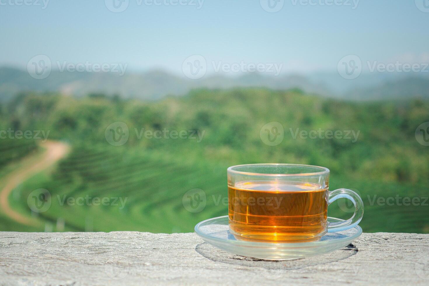 A cup of hot tea on cement with the tea plantation background. Space for text. Close-up photo