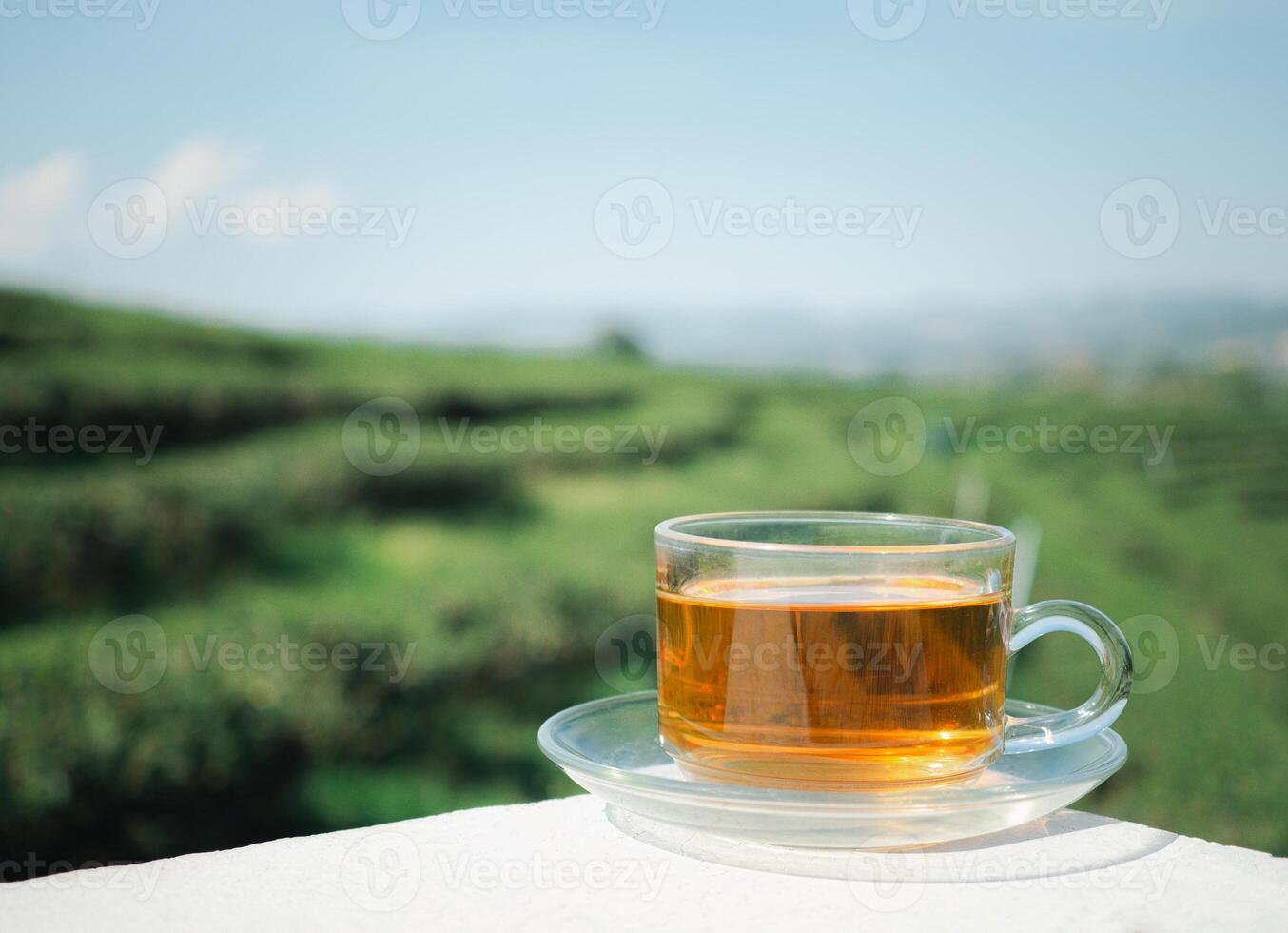 A cup of hot tea on cement with the tea plantation background. Space for text. Close-up photo