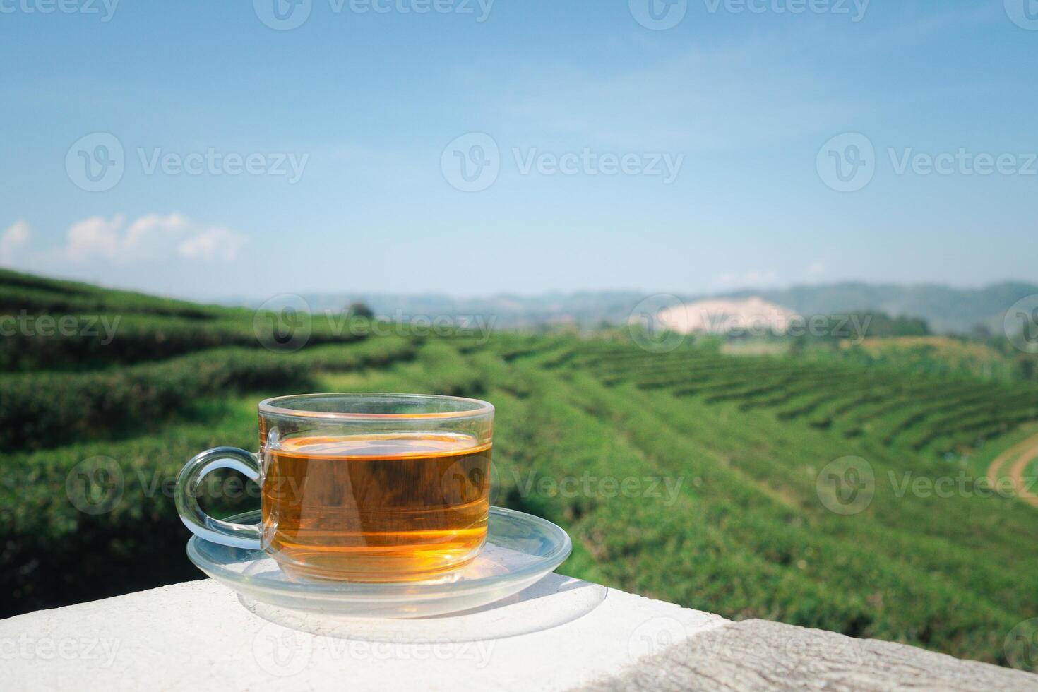 A cup of hot tea on cement with the tea plantation background. Space for text. Close-up photo. Concept of beverage and relaxation photo