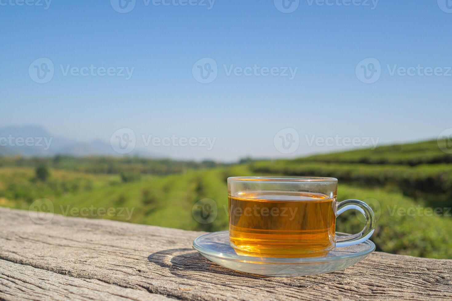 A cup of hot tea on cement with the tea plantation background. Space for text. Close-up photo
