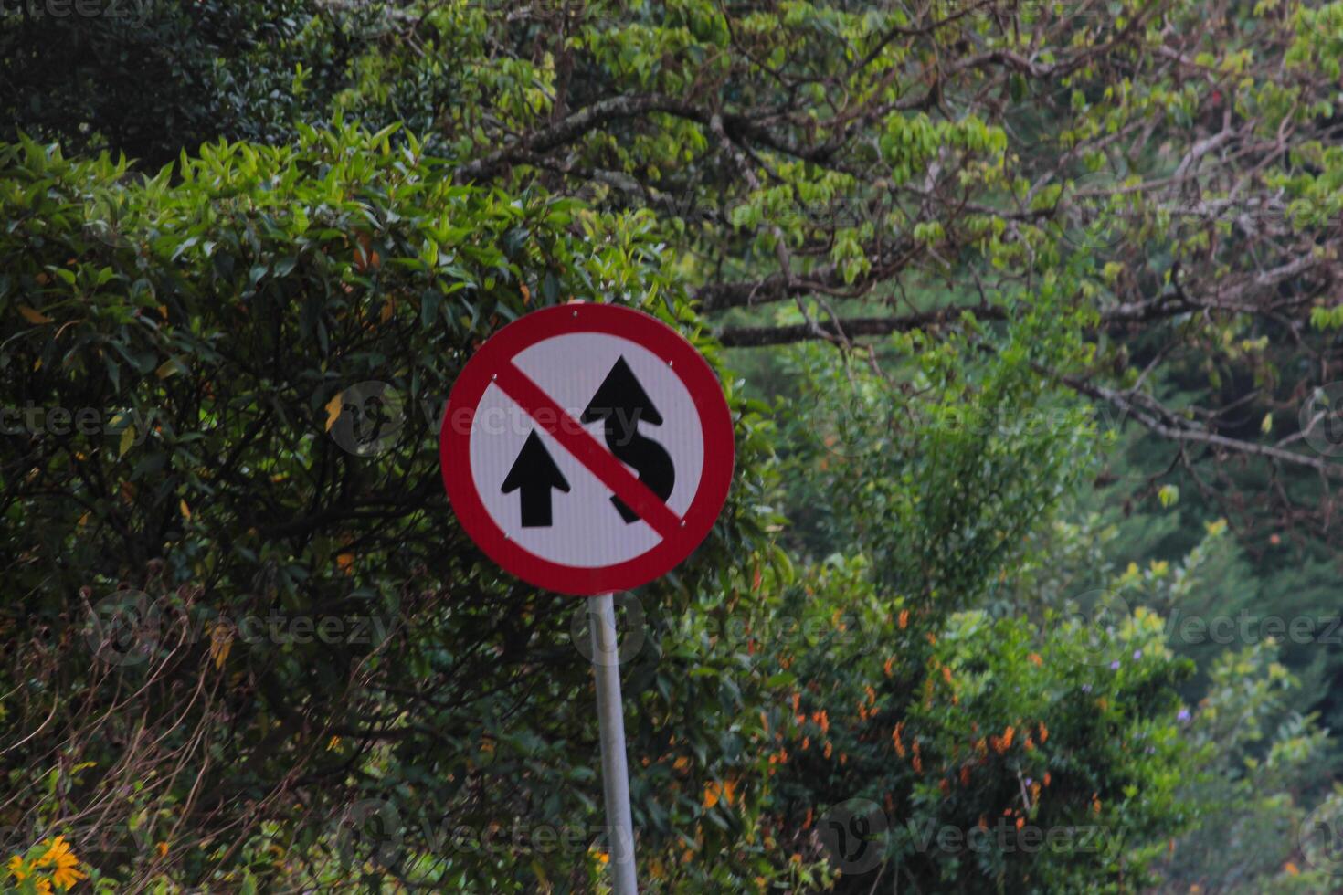 Corner road sign, black, white and red photo