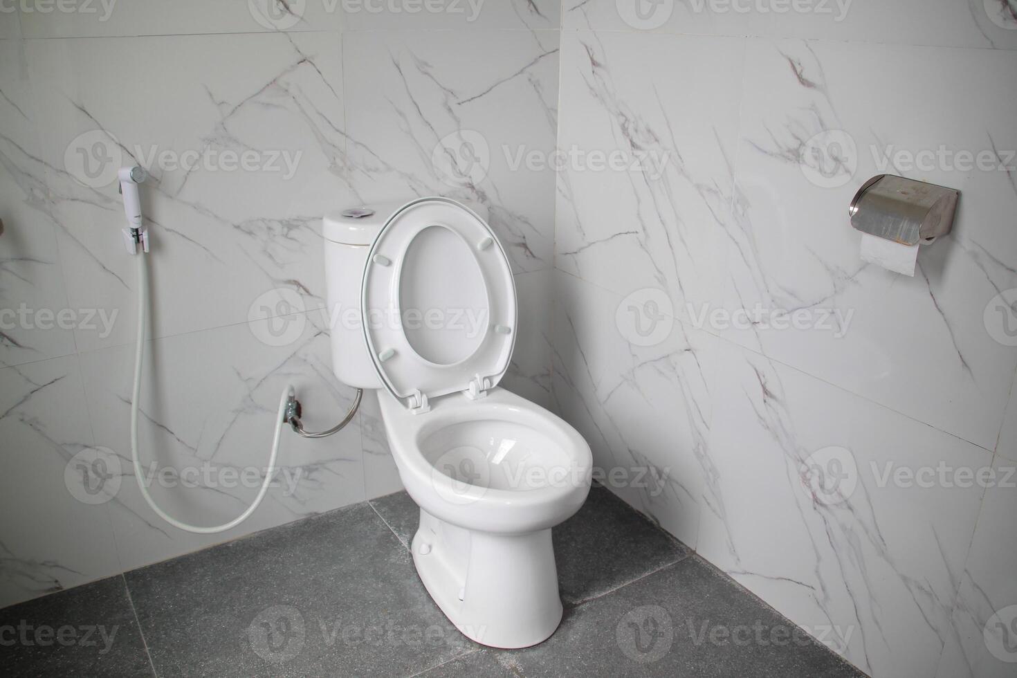 The bathroom toilet is clean white with an open lid photo