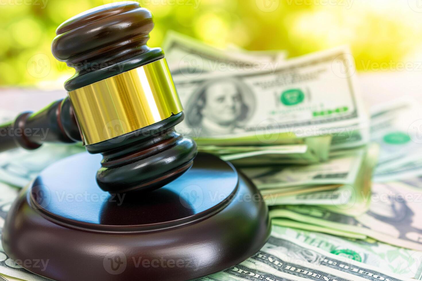 Judge's Gavel Resting on Dollar Bills Representing Legal and Financial Issues photo