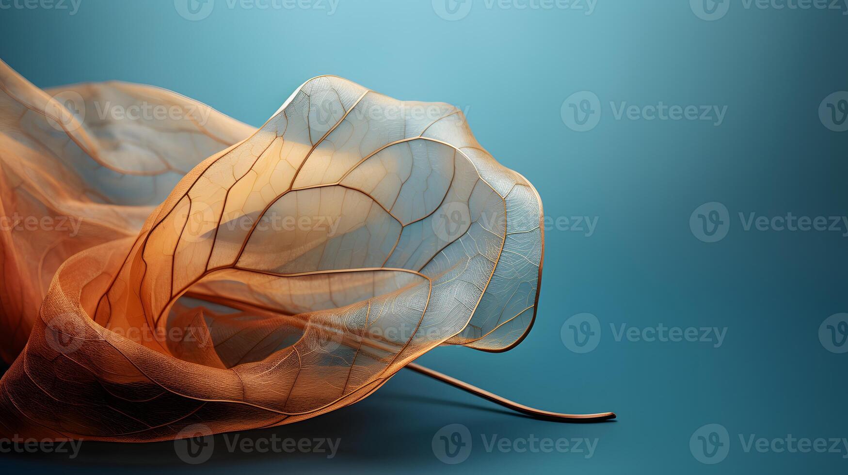 A leaf vein with natural and layered. photo