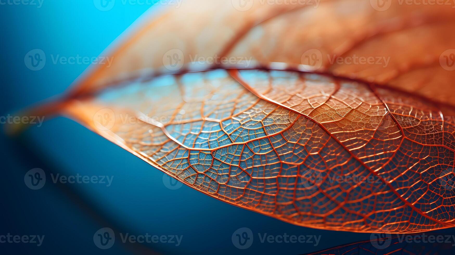 Perfect leaf veins. photo