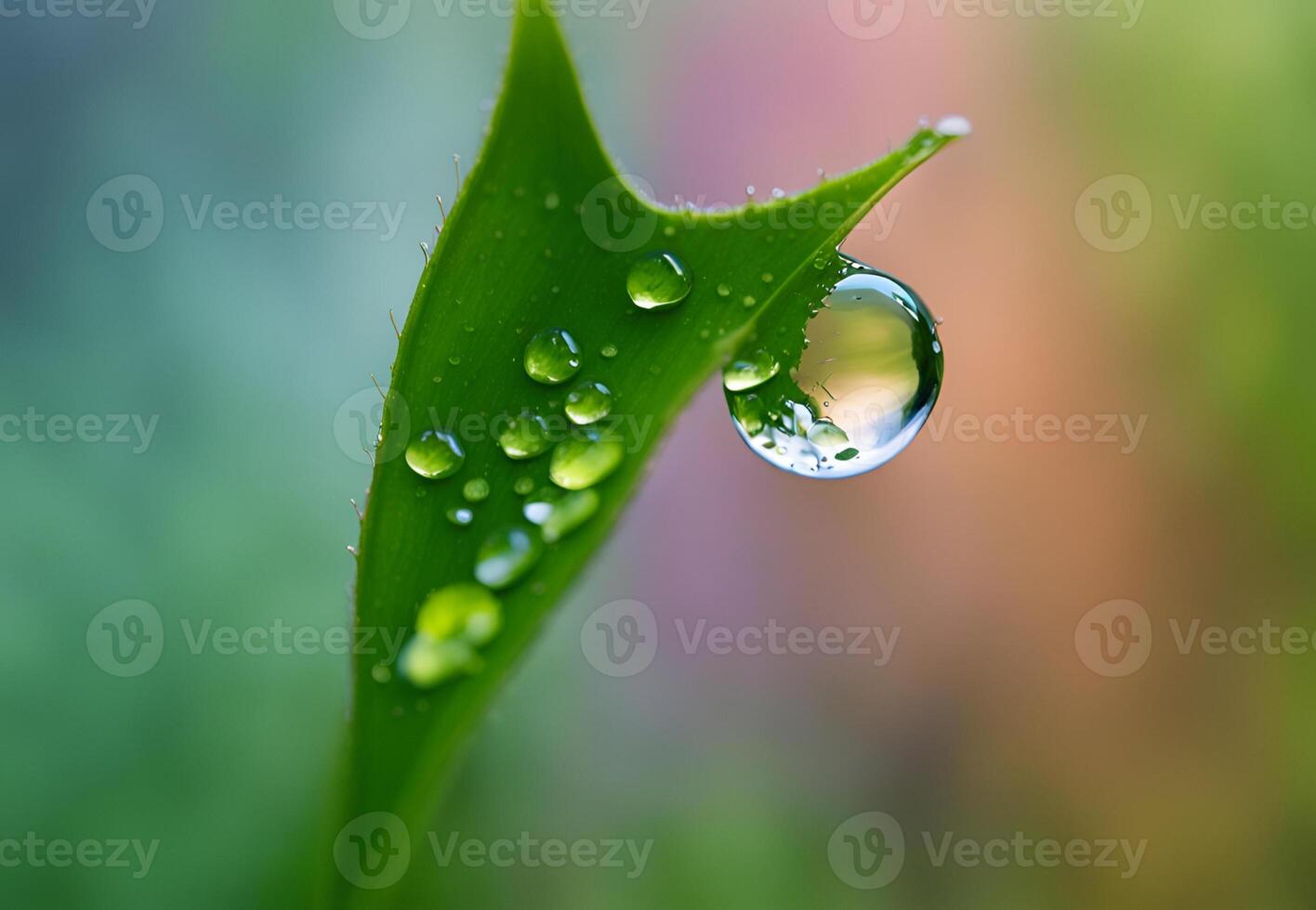 Glistening Prism A Raindrops Kaleidoscope of Color photo