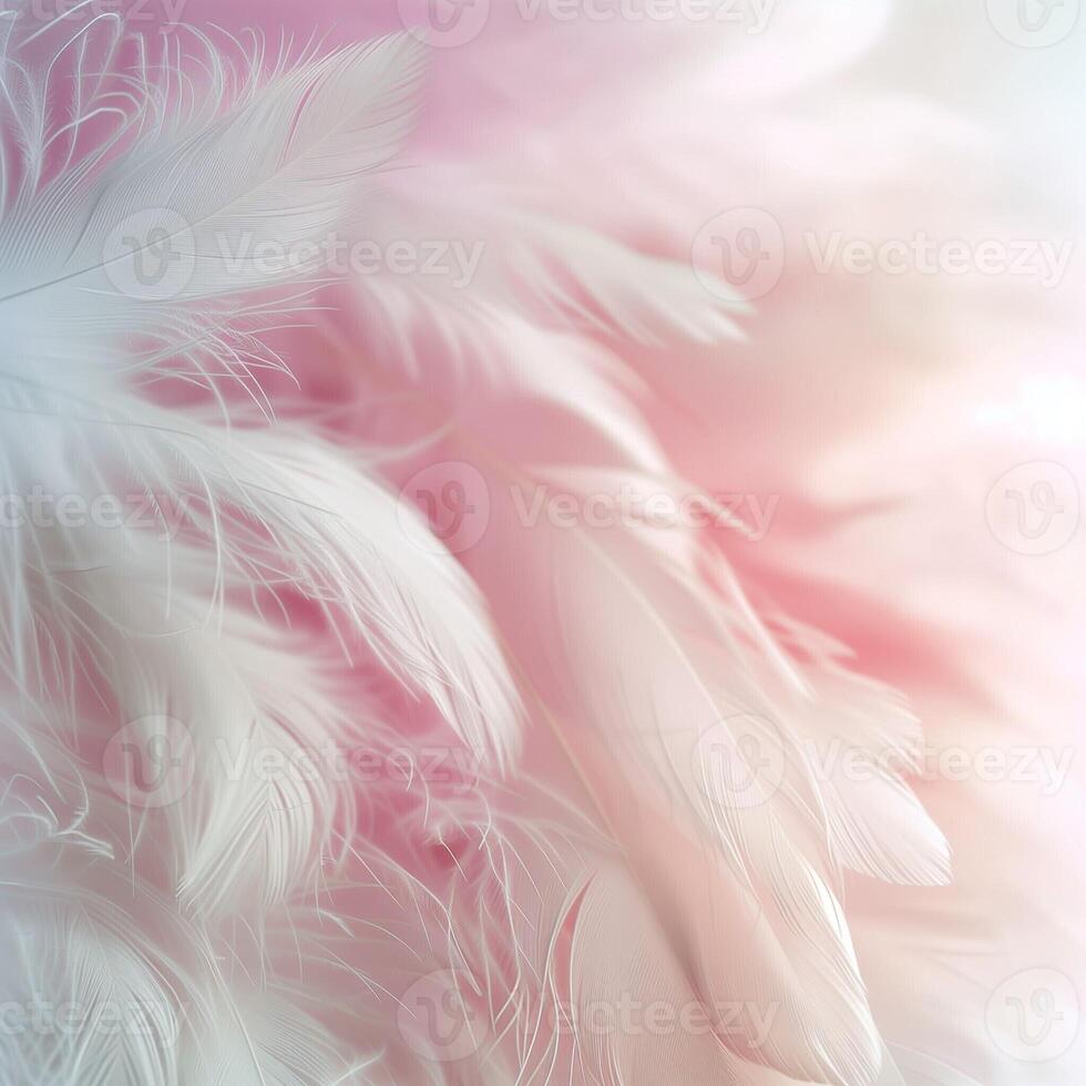 Soft feather arrangements in saturated pastel tones, background with copy space. photo