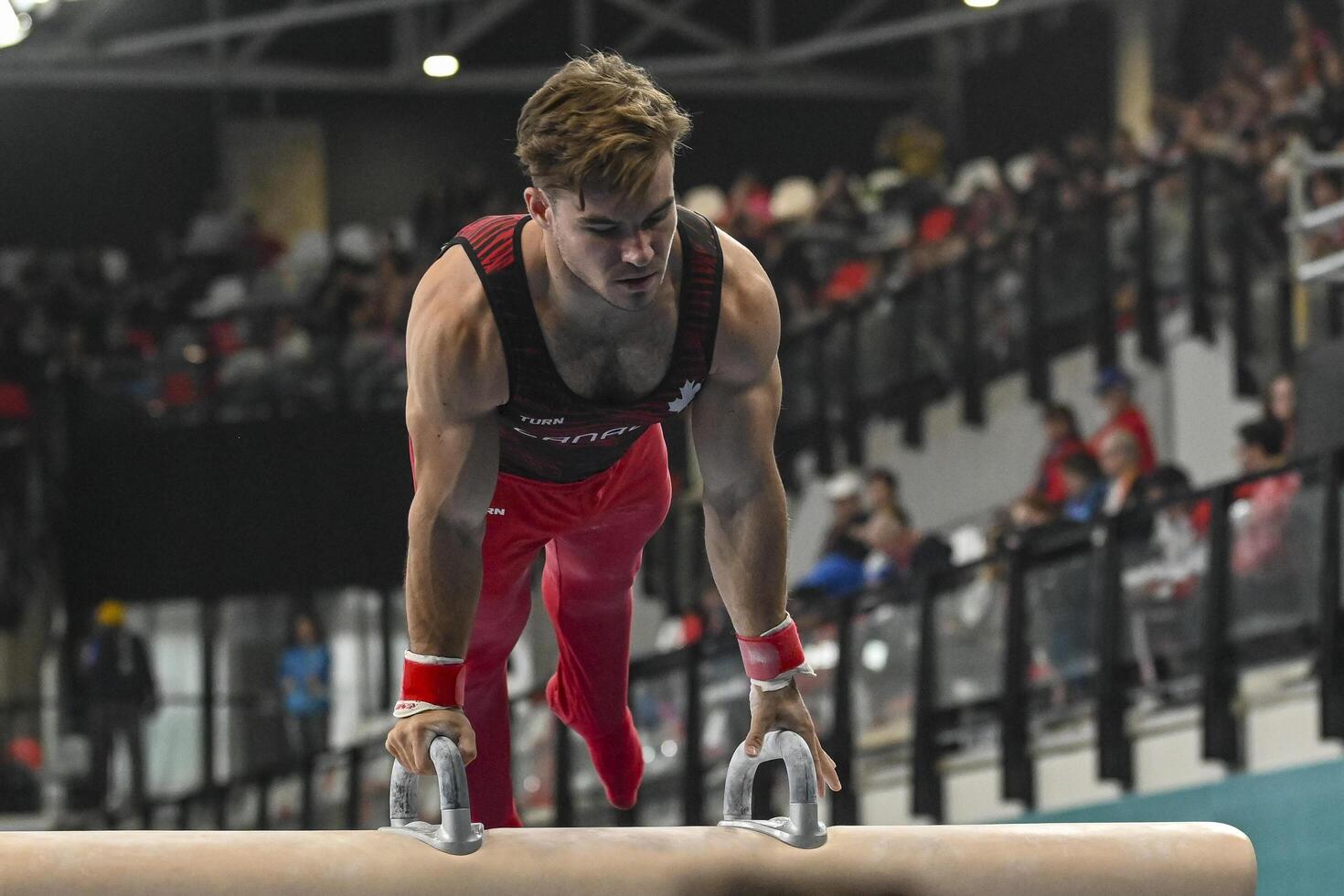 Gymnastics - Artistic in 2023 Pan-American Games photo