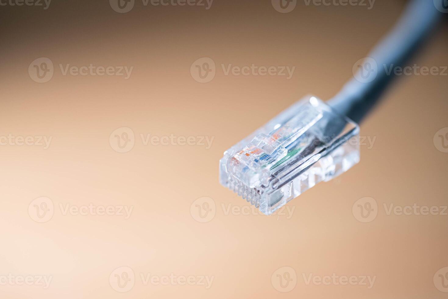Ethernet Cable Connector Close-Up photo