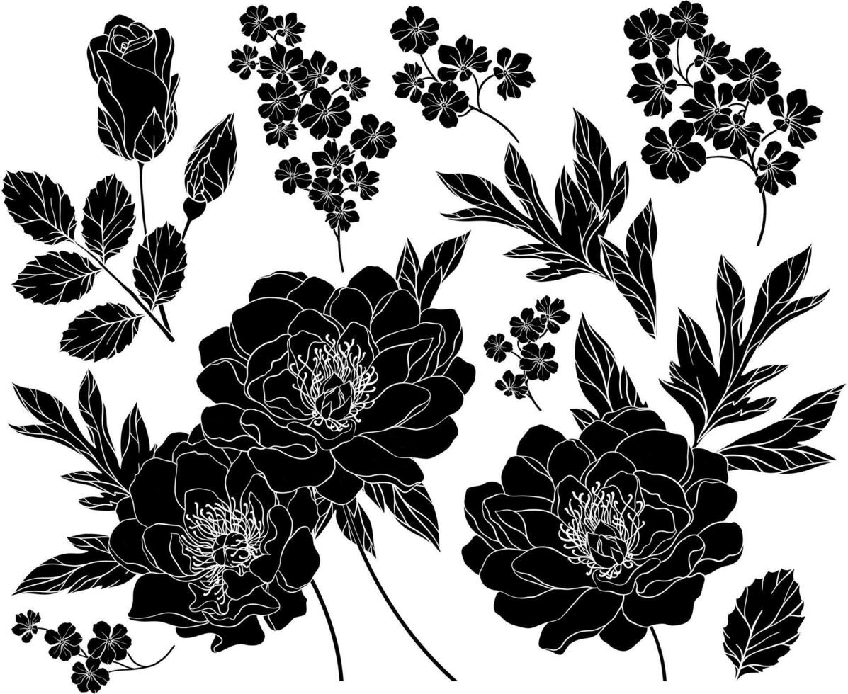 Set of silhouettes of peony flowers and leaves vector