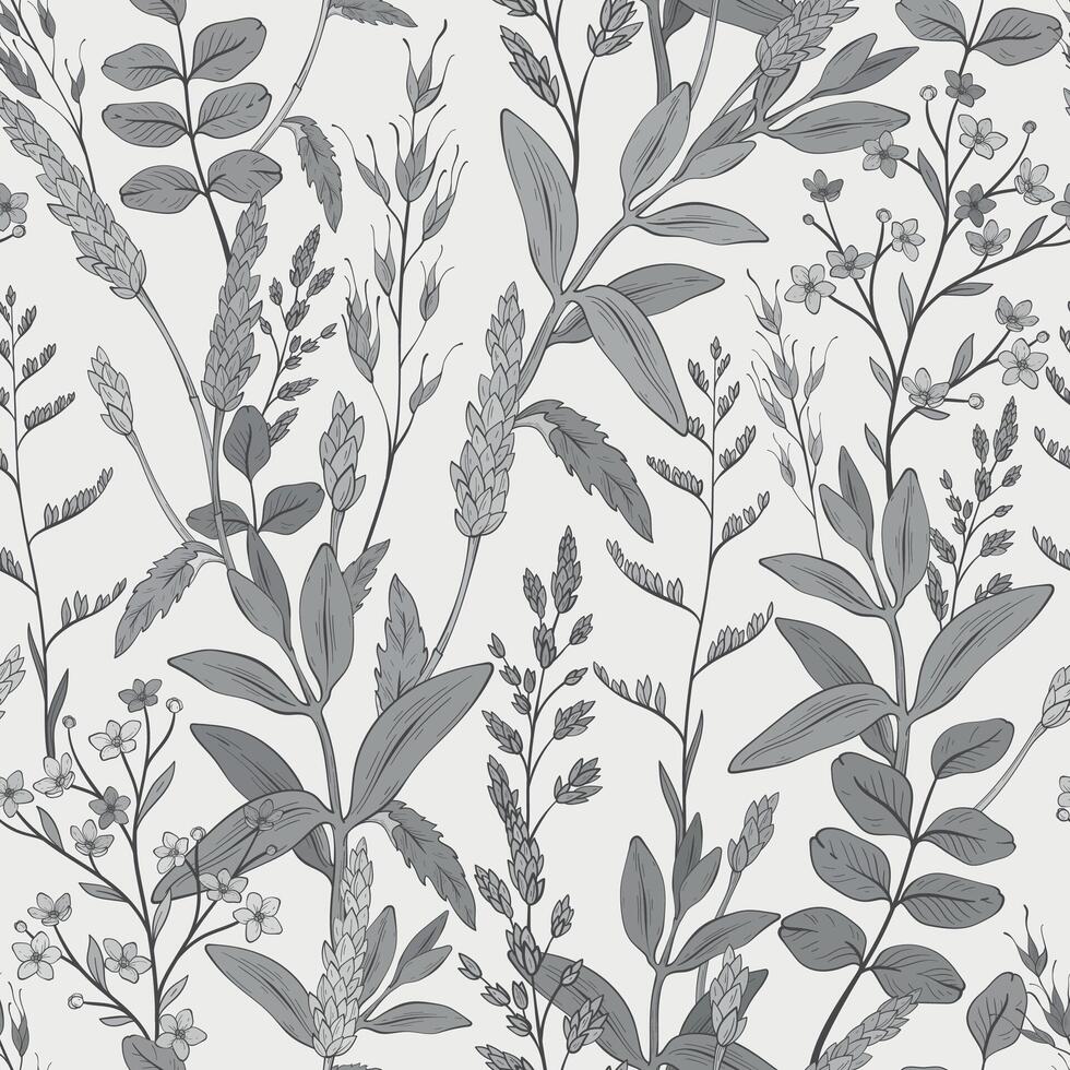 Seamless monochrome pattern with green wild herbs, wheat spikelets. Hand drawn vector