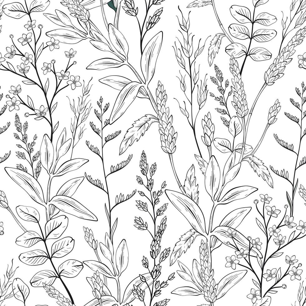 Seamless black and white pattern with green wild herbs, wheat spikelets. vector