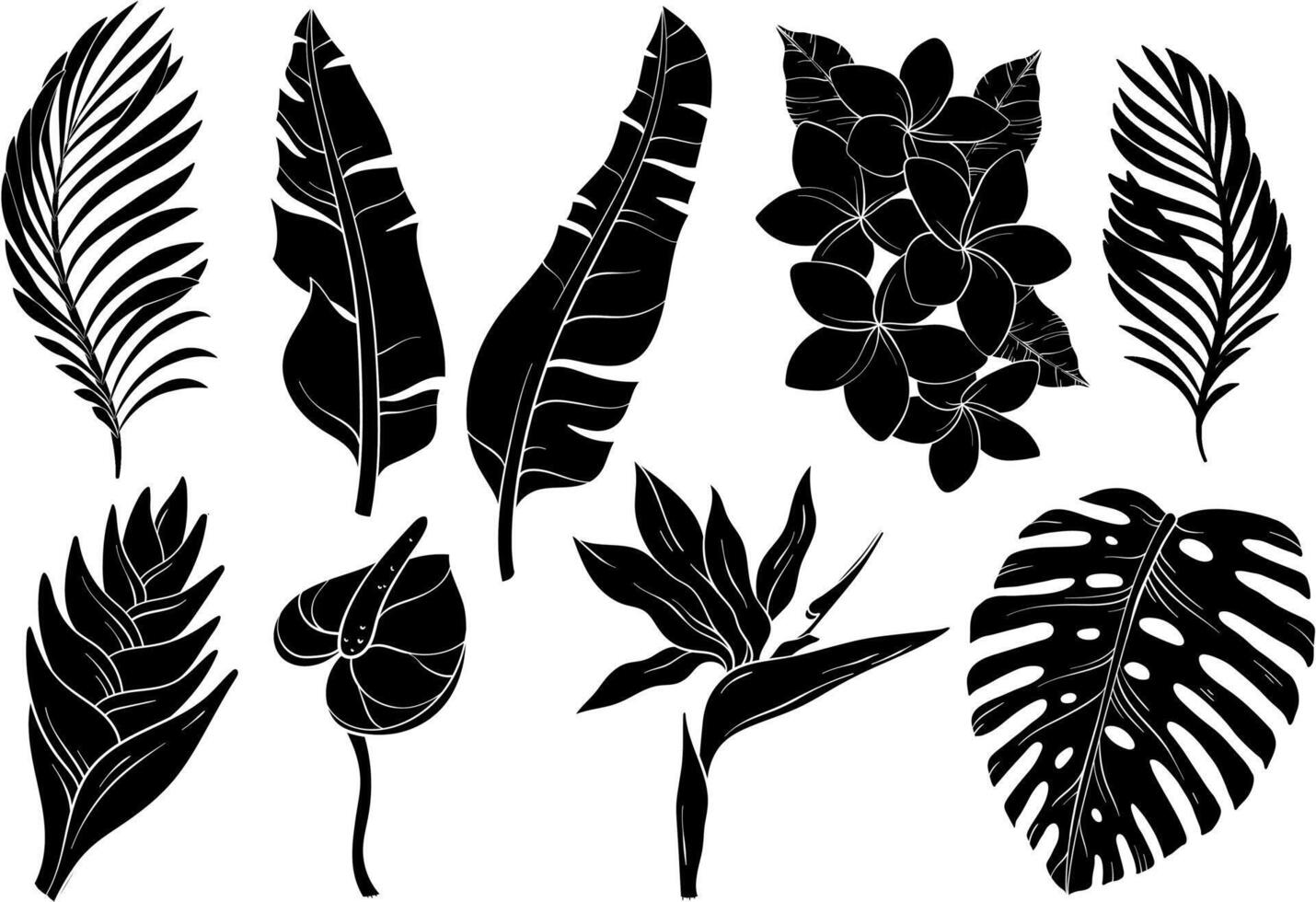 Set of tropical silhouettes of leaves of palm trees and flowers bird of paradise strelitzia plumeria. vector